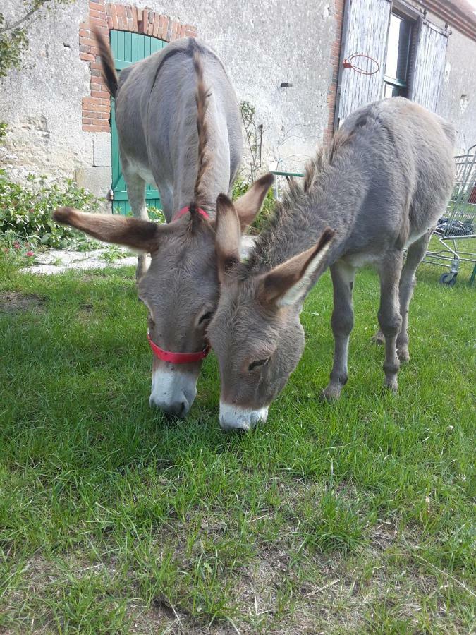 Le Gite Des Potes Lorris Exterior foto